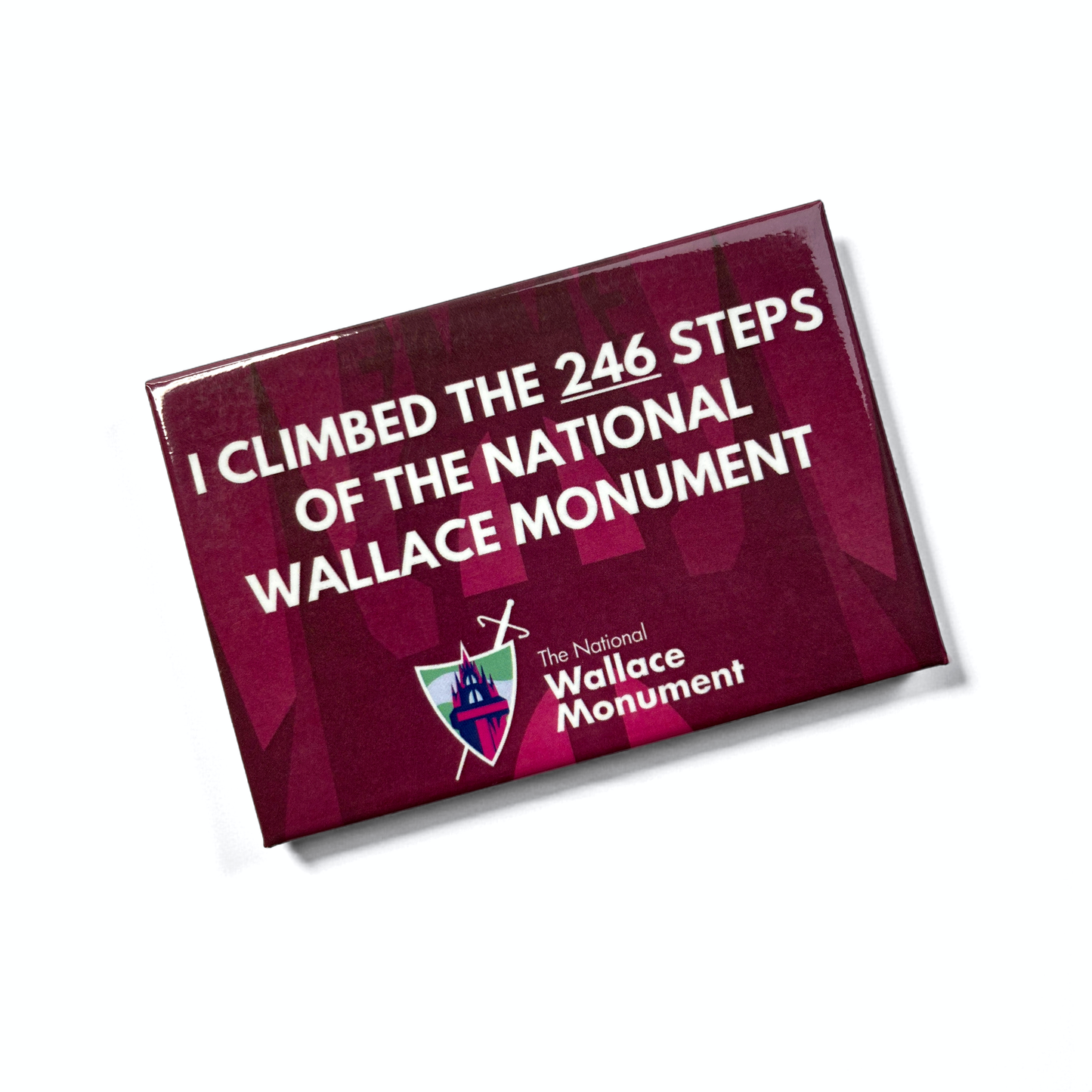 I've Climbed the 246 steps at The National Wallace Monument