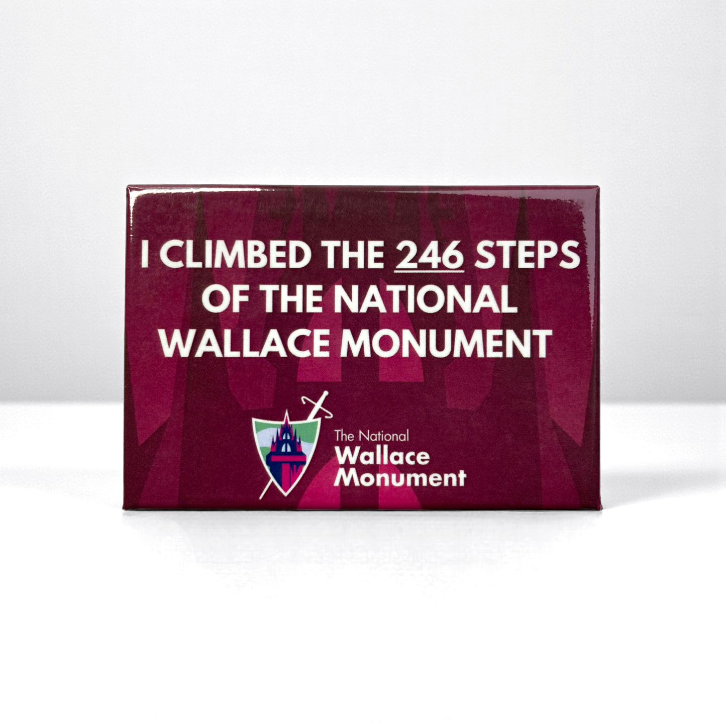 I've Climbed the 246 steps at The National Wallace Monument